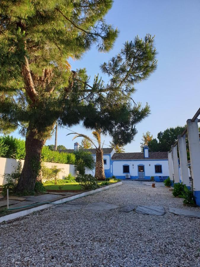 Monte Da Avo Chica Hotel Monsaraz Kültér fotó
